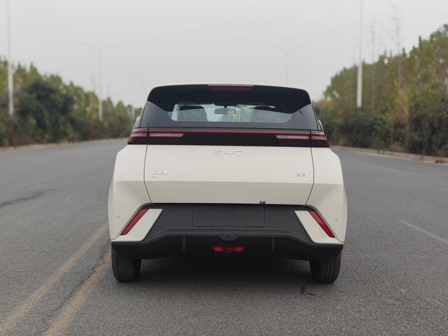 Seagull 2025 305KM Vitality Edition — изображение 4